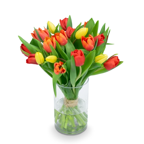 Kytice  tulipánů